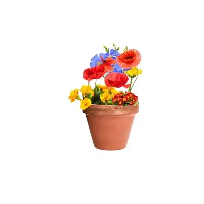 Kapsułka z nasionami dzikich kwiatów - kolor neutralny