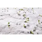 Arkusz A4 z nasionami kwiatów - ASIDI - kolor biały