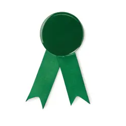 LAZO Przypinka ze wstążką kolor zielony