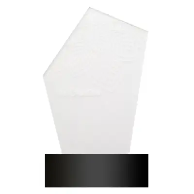 Trofeum z podświetleniem LED Ledify - kolor transparentny